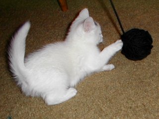 ball of string